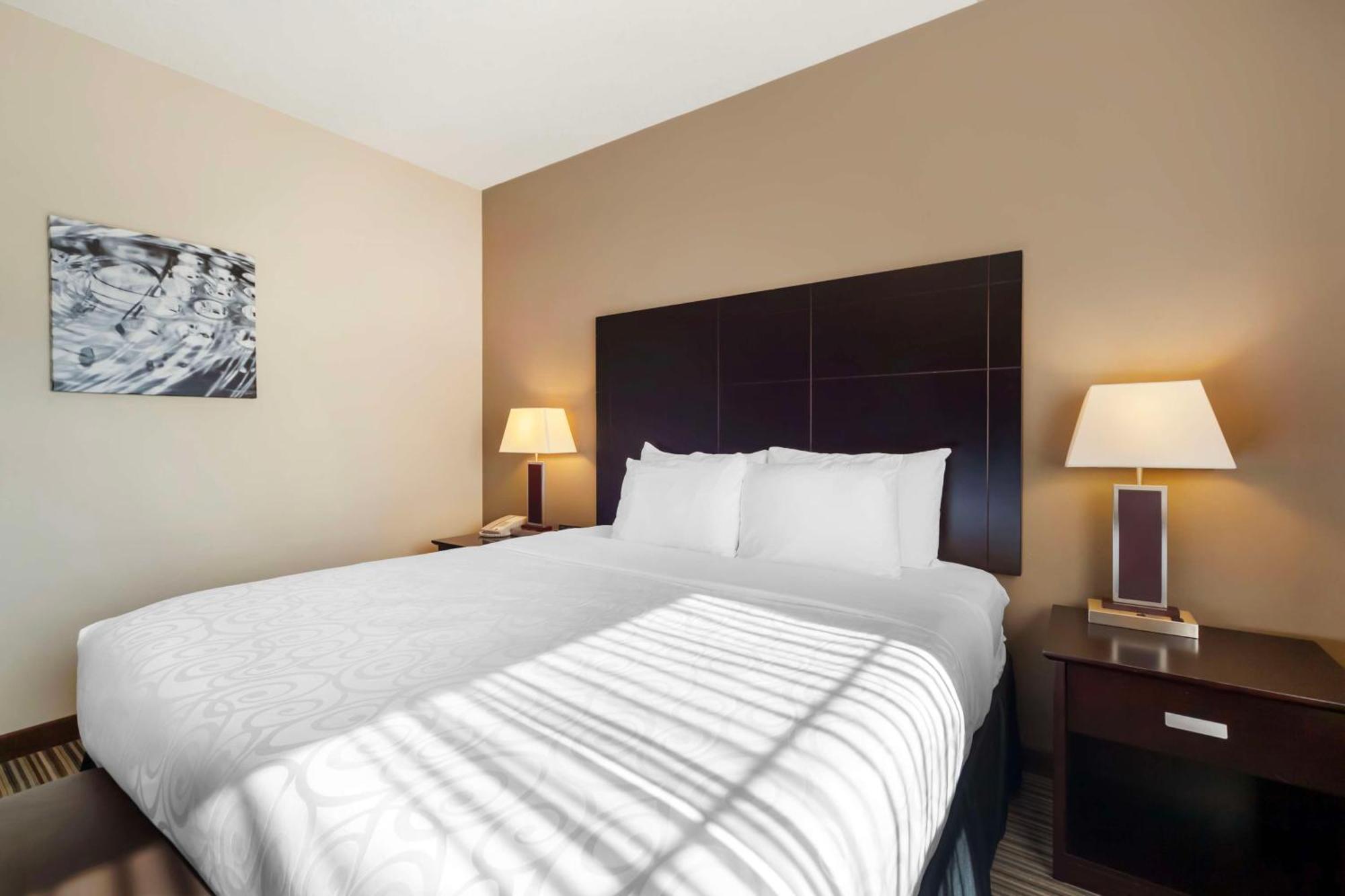 Best Western Plus Peace River Hotel & Suites Экстерьер фото